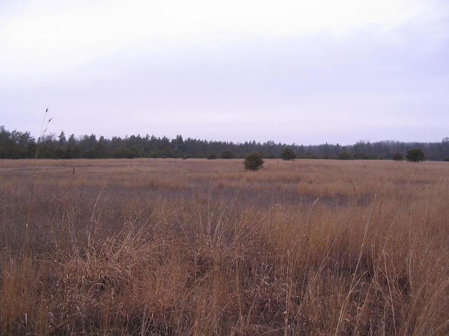 Parcel 13 N M-18, Roscommon, MI 48653 - photo 1