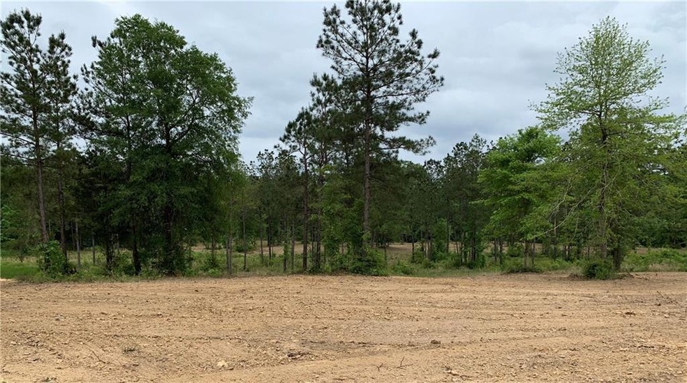 TBD J Scott Dr unit Lot 80, Pineville, LA 71360 - photo 1
