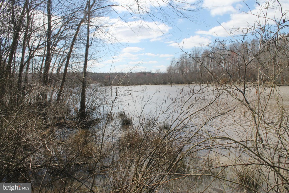 0 Governors Point Ln unit 1002371518, Unionville, VA 22567 - photo 1