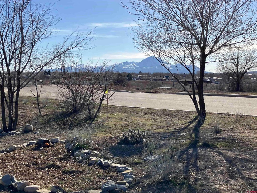 2155 Tucker Ln, Cortez, CO 81321 - photo 1