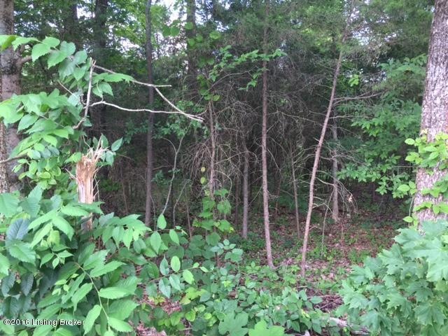 Lot 1 Brookdale Rd, Mount Washington, KY 40047 - photo 1