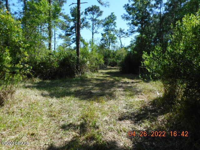 4630 Cedar Rd, New Smyrna Beach, FL 32168 - photo 1