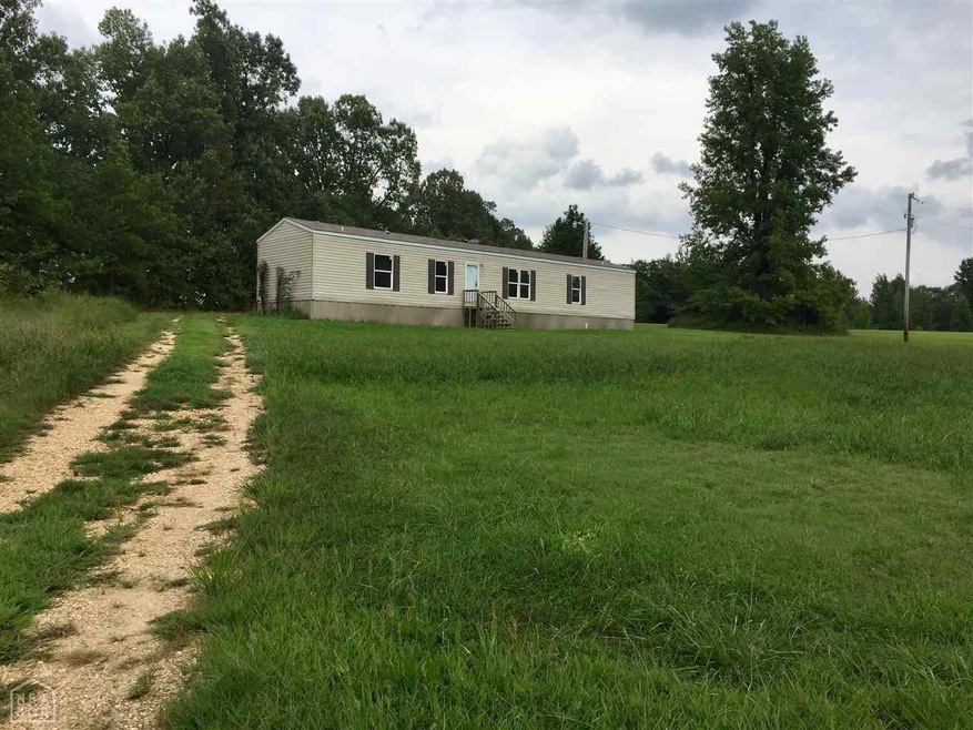 394 Gr 633 Rd, Paragould, AR 72450 - photo 1