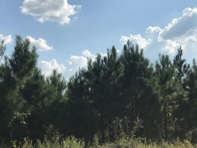 0 Willie Bowen Rd unit 1585672, Other, GA 31516 - photo 1