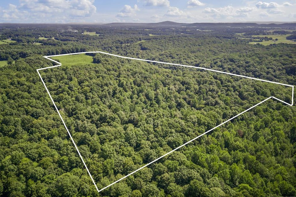 1 Creed Wright Rd, Walling, TN 38587 - photo 1