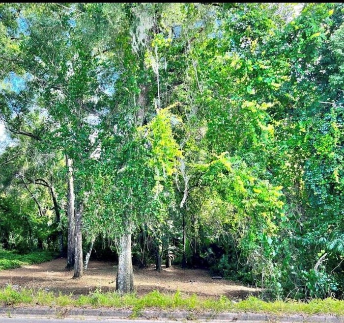 0 E Euclid Ave unit MFRO6219337, Deland, FL 32724 - photo 1