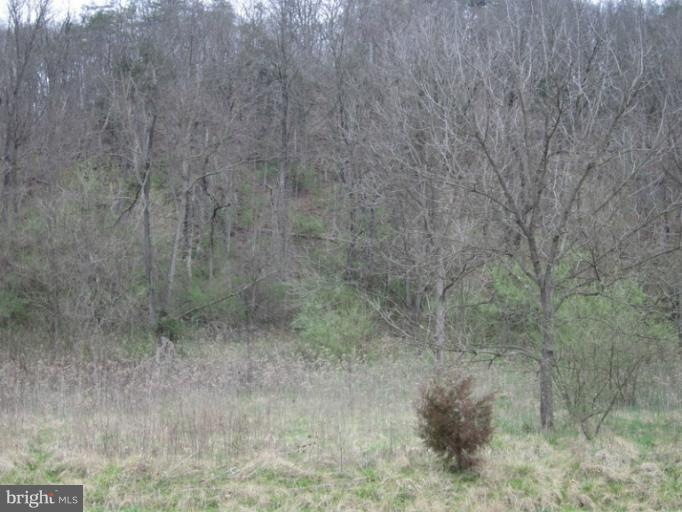 1150 Canoe River Dr, Rileyville, VA 22650 - photo 1