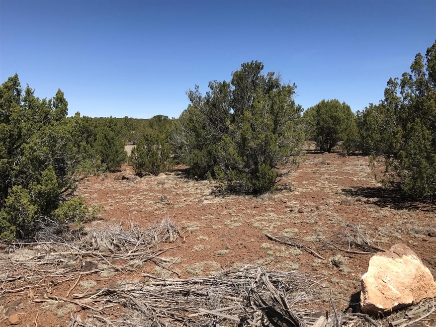 8564 E Pine Ln, Show Low, AZ 85901 - photo 1