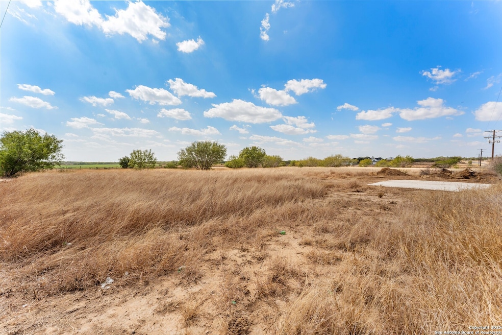 3041 Farm To Market Road 1333, Poteet, TX 78065 - photo 1