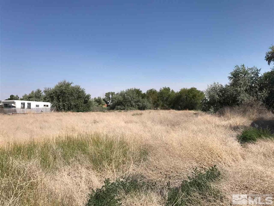 4585 Beacon Way, Fallon, NV 89406 - photo 1