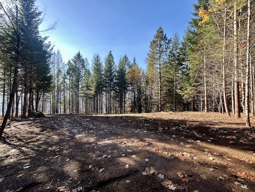 9562 Cook-Underwood Rd, Underwood, WA 98651 - photo 1