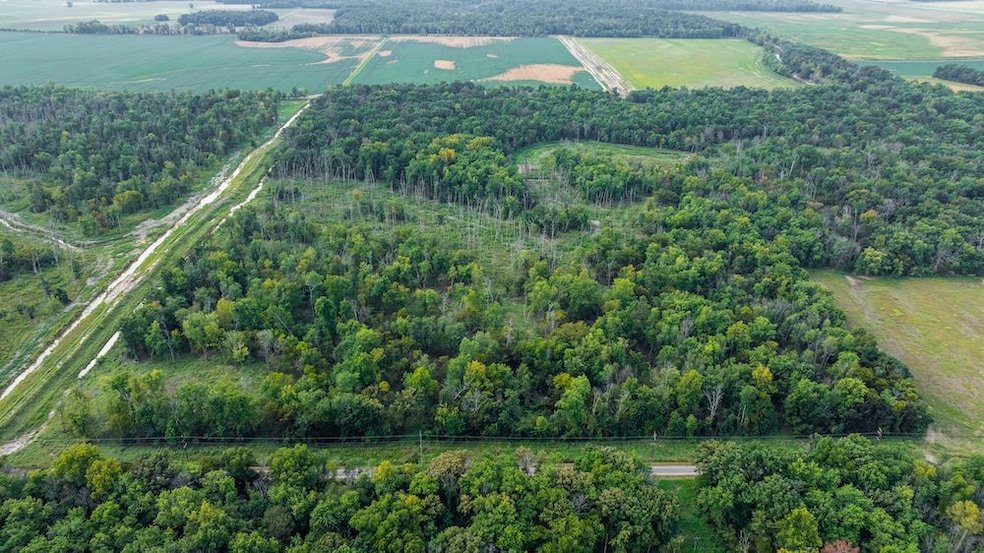 Cr 1250 N, Ellery, IL 62833 - photo 1