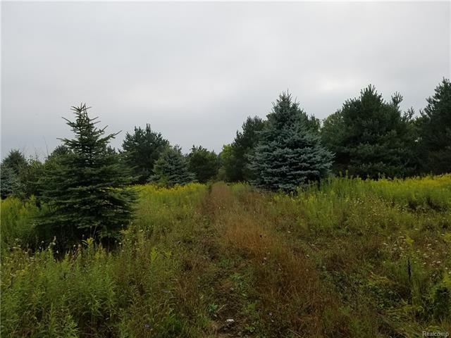 This is a view of the property.