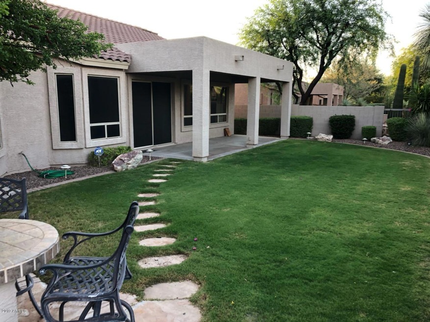 Back yard