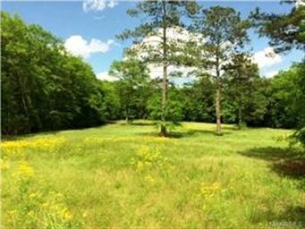 25+/- ACRES on Jehle Road in Wetumpka that is also