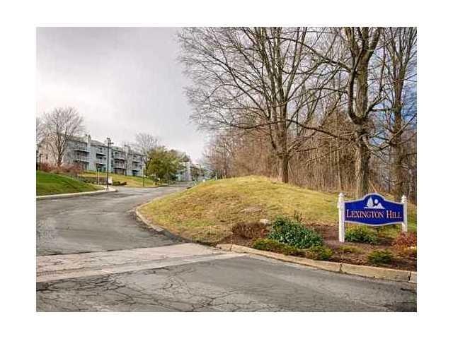 25 Lexington Hill unit 8, Harriman, NY 10926 - photo 1