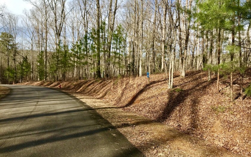 LT48 N Harris Creek Dr, Ellijay, GA 30540 - photo 1