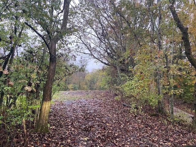 881 Galbraith Rd, Brooksville, KY 41004 - photo 1