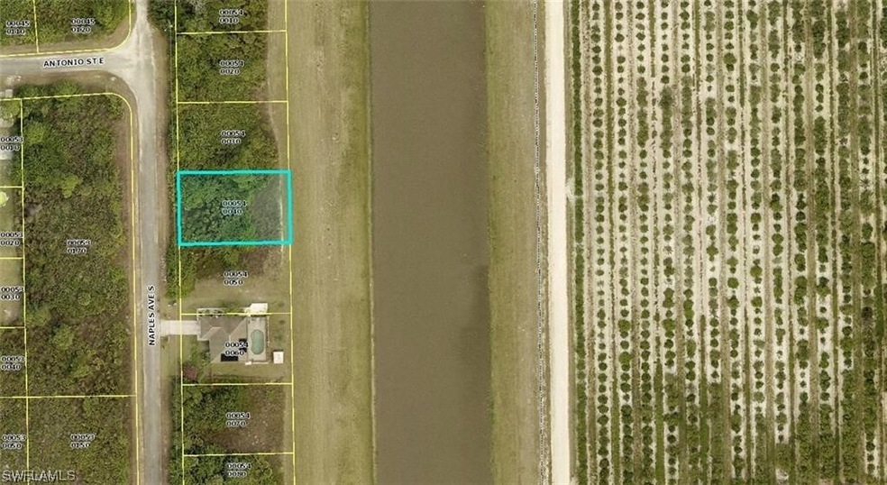 707 Naples Ave S, Lehigh Acres, FL 33974 - photo 1