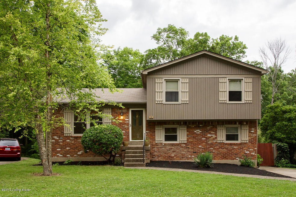 10807 Cherry Grove Ct-1