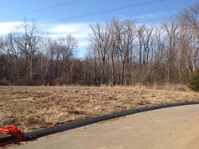 Whitepine Ridge Ct. Wooded Homesite