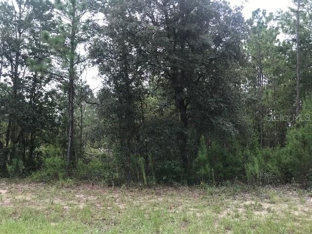0 0 Sw 168th Loop, Ocala, FL 34473 - photo 1