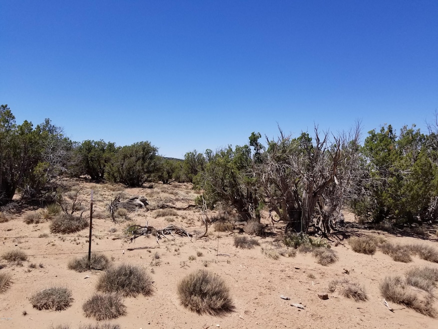 Looking from the road to the propety