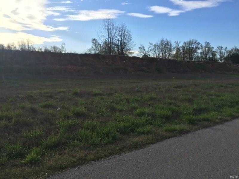 0 Palm Tree Dr, Poplar Bluff, MO 63901 - photo 1