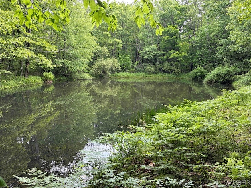 2741 Smith Hollow Rd, Olean, NY 14760 - photo 1