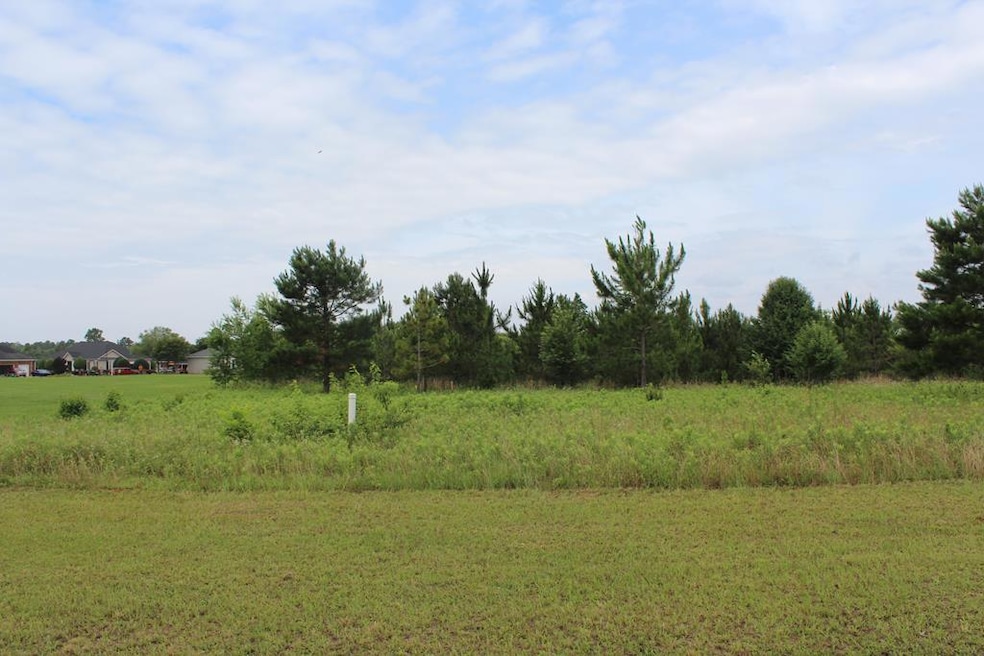 241 Wentworth Ln, Albany, GA 31721 - photo 1