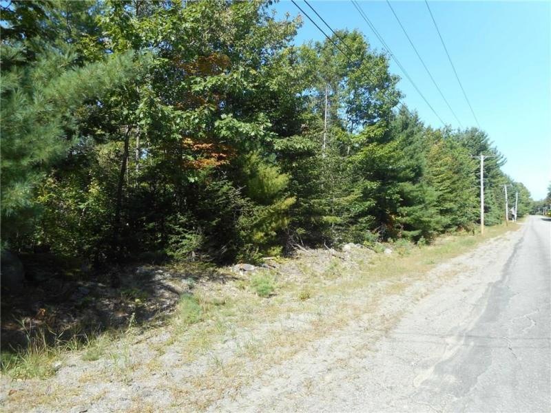 Lot 4
