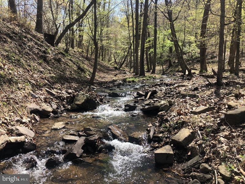 146 Ashton Woods Dr, Old Fields, WV 26836 - photo 1