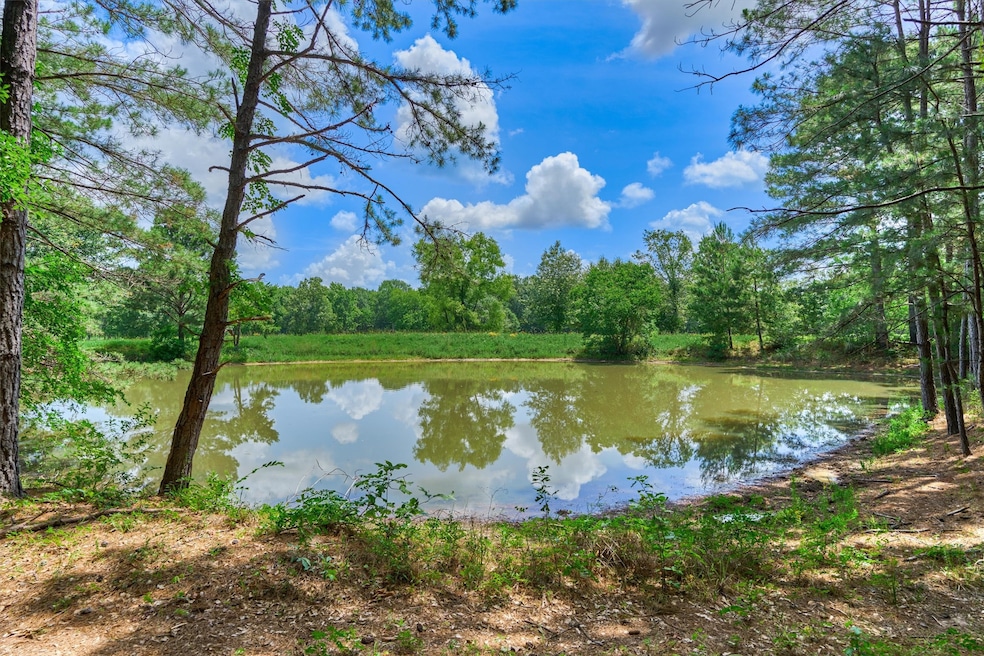 Beautiful pond with a perfect spot for a future ho