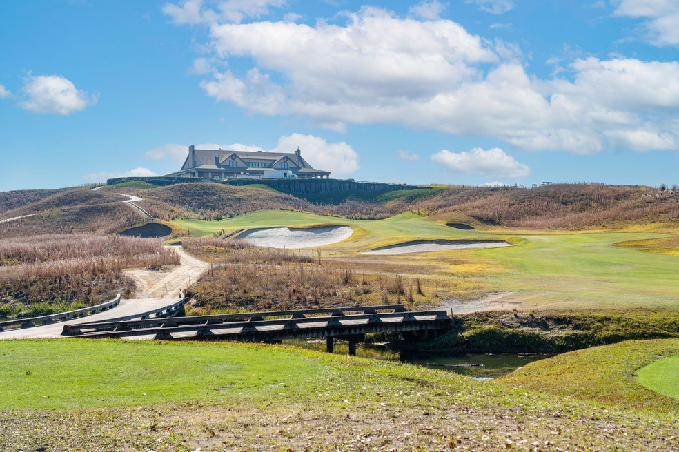 4258 True Blue Ct, Mount Pleasant, SC 29429 - photo 1
