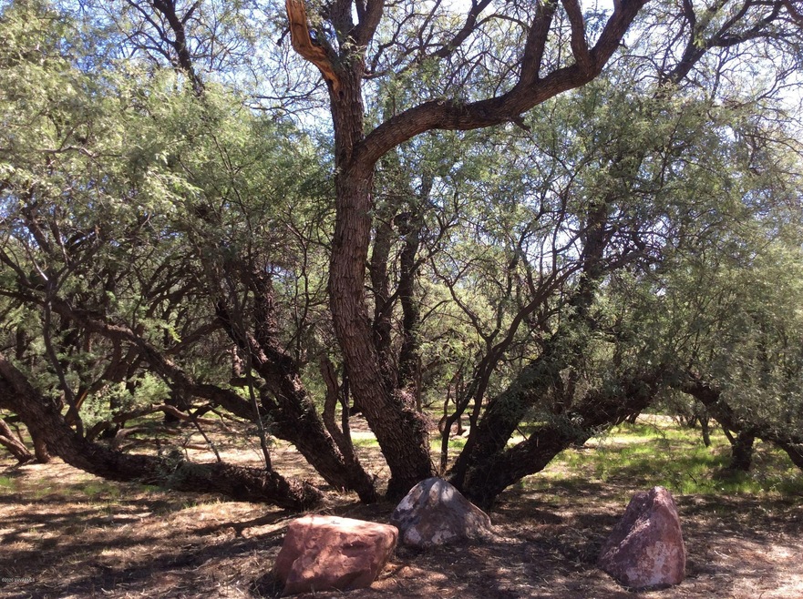 unlisted-address, Cornville, AZ 86325 - photo 1