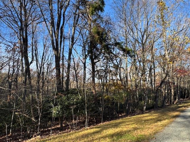 TBD Crooked White Oak Tr, Hillsville, VA 24343 - photo 1