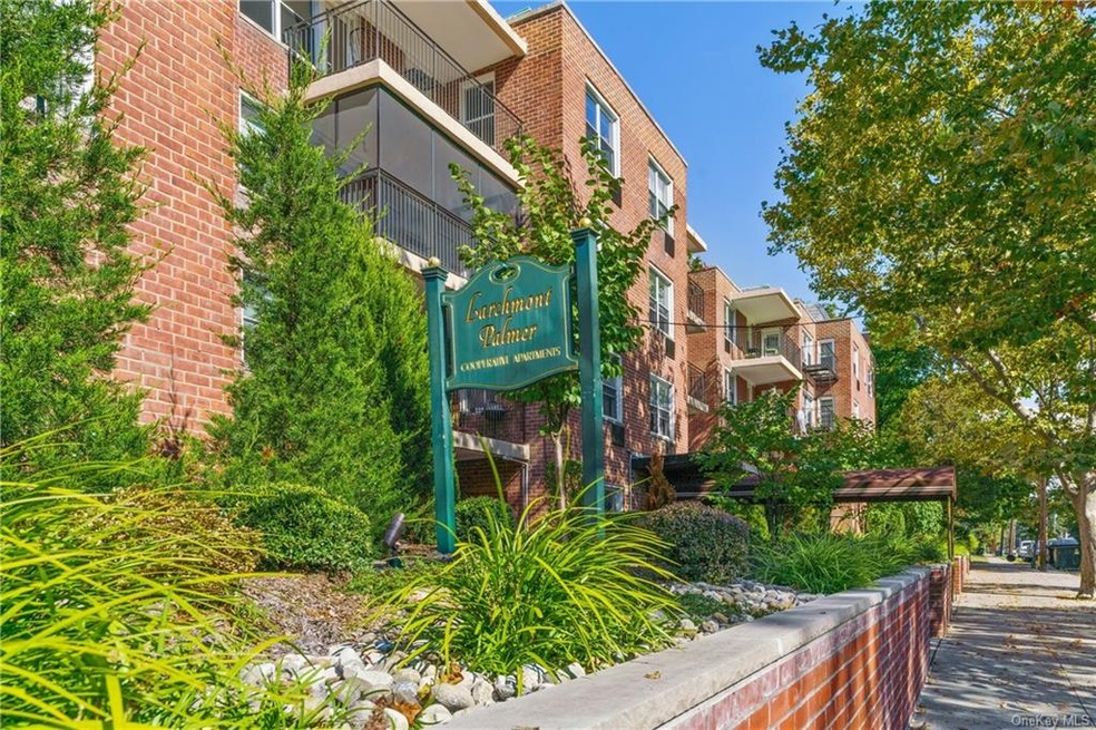 Larchmont Palmer unit 315, Larchmont, NY 10538 - photo 1