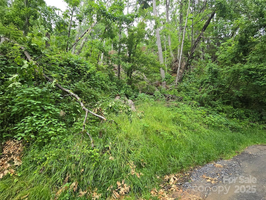 89 Weeping Cherry Forest Rd, Fairview, NC 28730 - photo 1