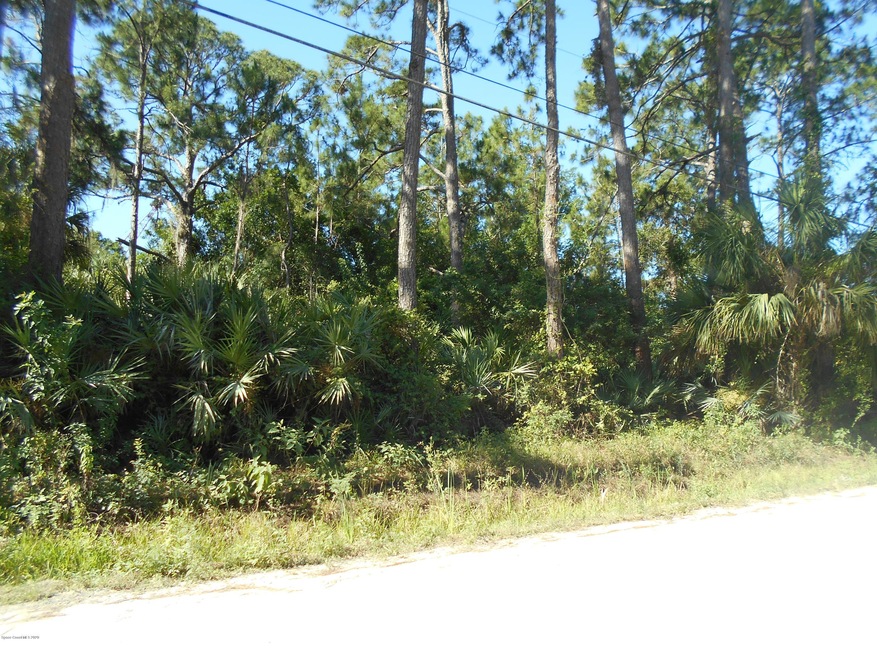 0 Palm Ave, Cocoa, FL 32922 - photo 1