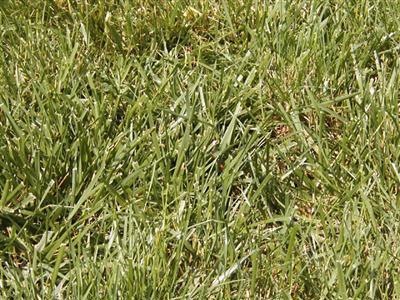 845 E Rush Ct, Nixa, MO 65714 - photo 1