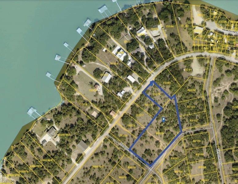 Blue outline is the lots.