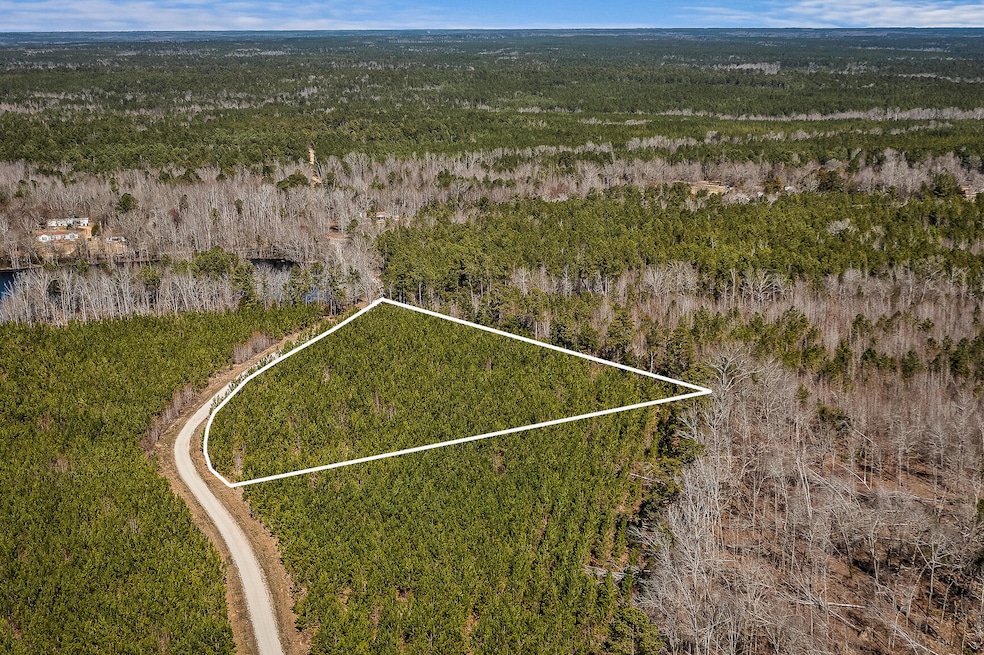Walker Rd Land MLS-25