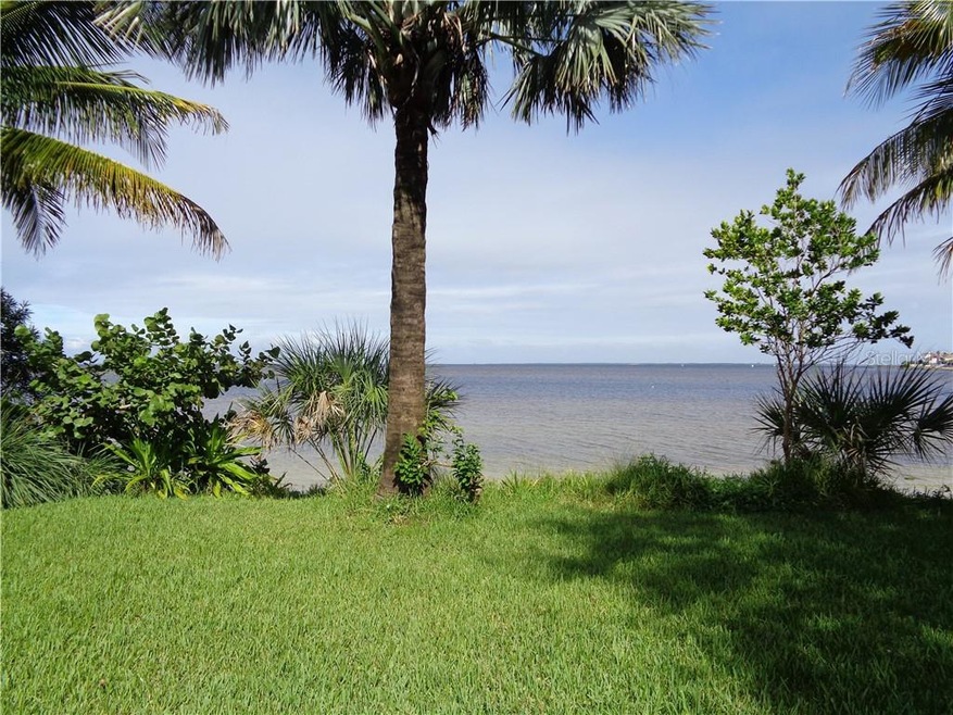 Stunning views of Tampa Bay!
