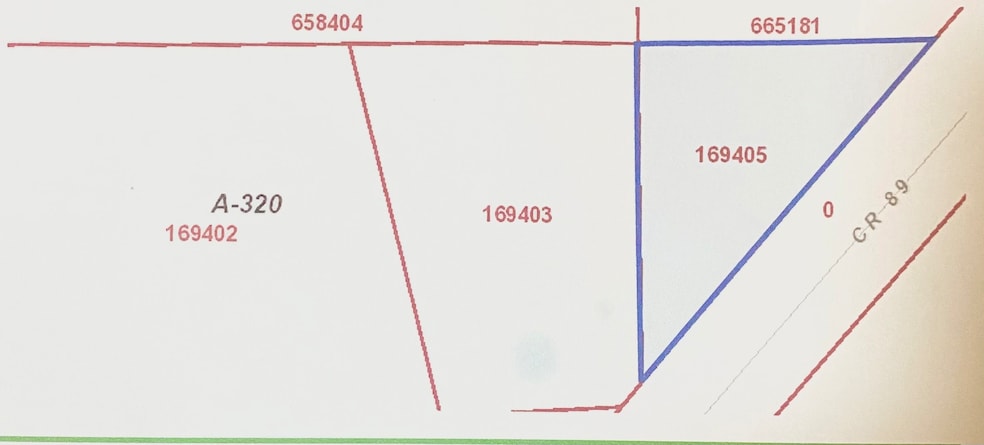 4800 Cr 89 Old Chocolate Bayou Rd, Manvel, TX 77578 - photo 1