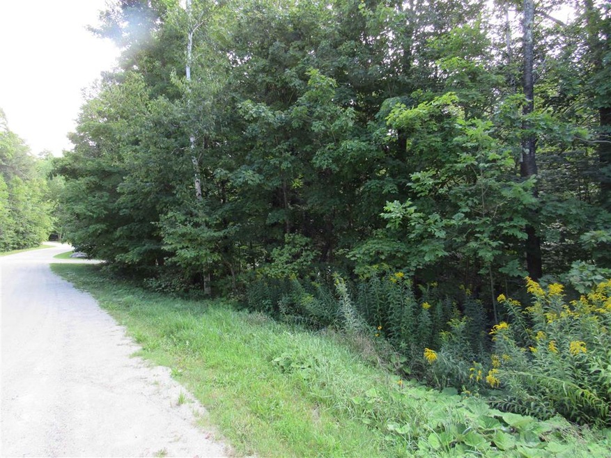 C20R High Meadow Rd unit C20R, Winhall, VT 05340 - photo 1