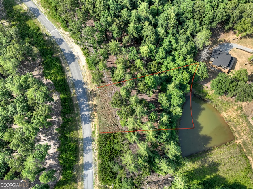 190 Split Creek, Morganton, GA 30560 - photo 1