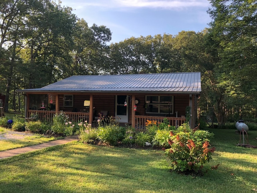 248 Carter Route F, van Buren, MO 63965 - photo 1