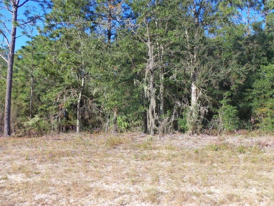 00 SW 102 Street Rd unit 35, Dunnellon, FL 34431 - photo 1