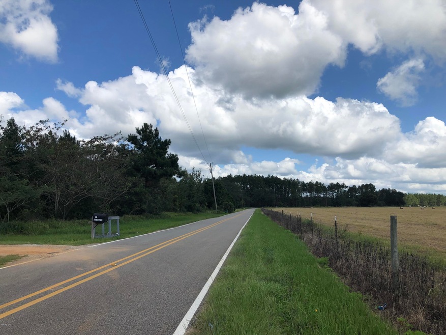 0 Stonecypher Rd, Lucedale, MS 39452 - photo 1