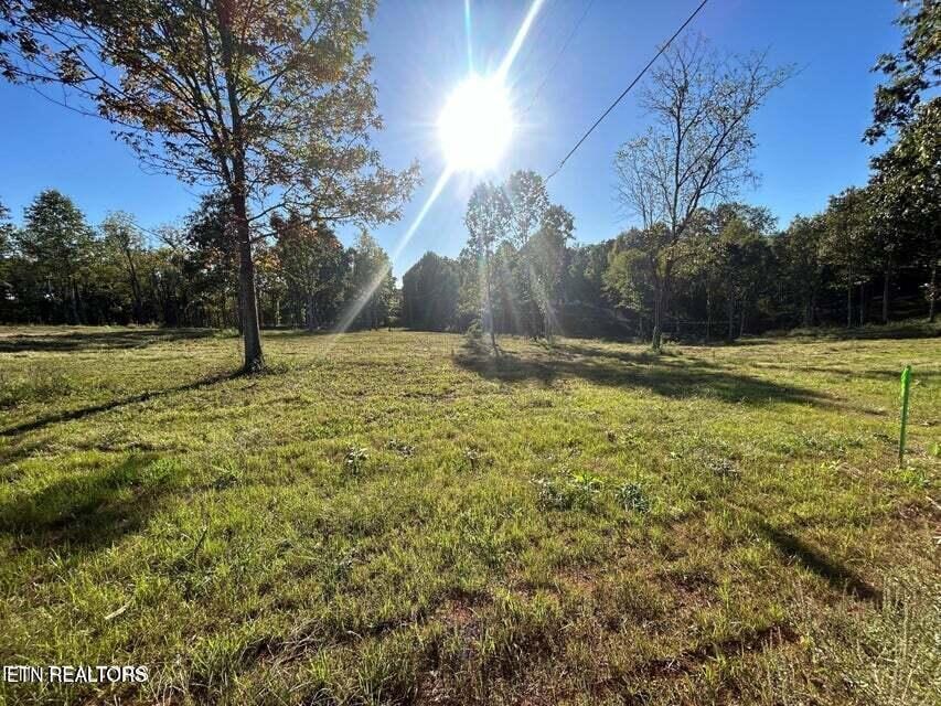 Lot # 5